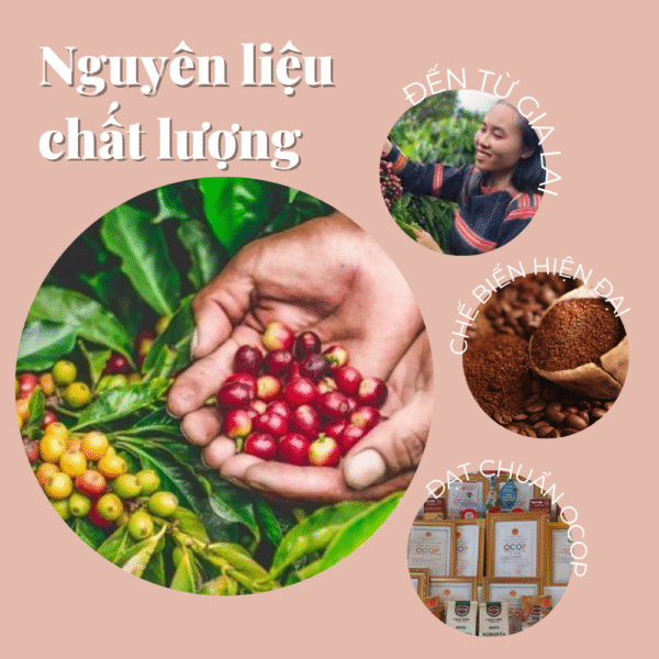 Set Quà Tặng Camping Coffeedy - Hình ảnh 8